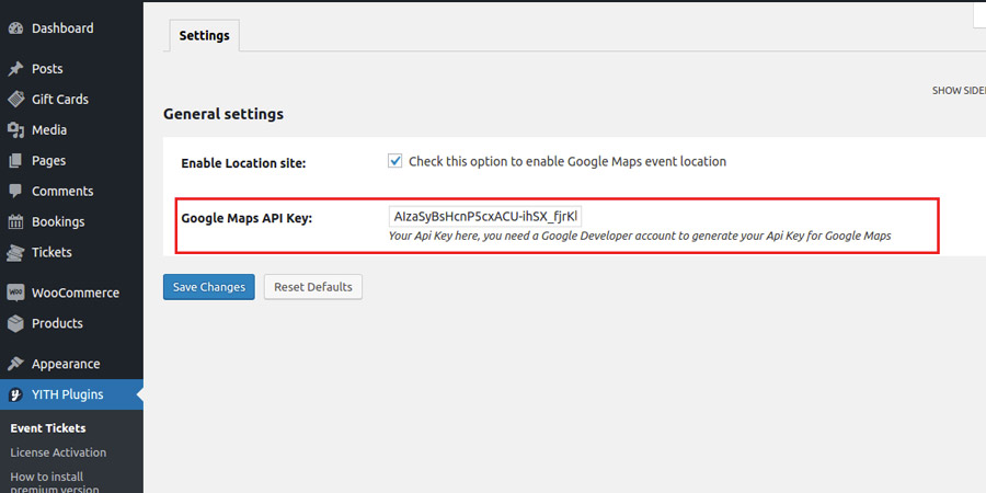 Google Maps API Key